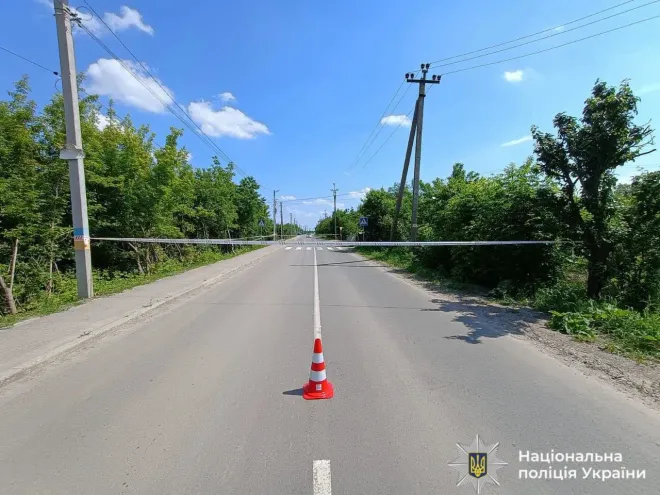 Корпус гранати в кущах на Яблуневій: вибухотехніки вилучили знахідку