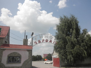zhashkiv_rynok-charodiy
