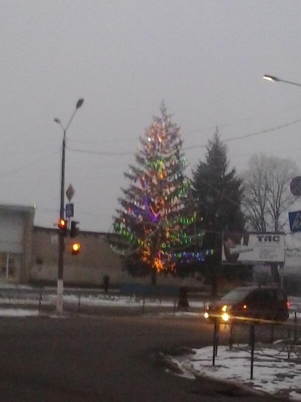 zhashkiv_yolka_2014